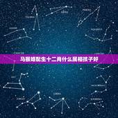 马猴婚配生十二肖什么属相孩子好，猴跟马的属相要什么属相的孩子好