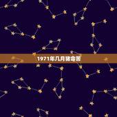 1971年几月猪命苦，1971年属猪人的命运