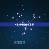 6合婚姻是什么意思，男女婚姻合八字
