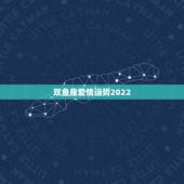 双鱼座爱情运势2022，关于双鱼座感情运势。