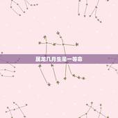 属龙几月生是一等命，龙出生在几月更好命