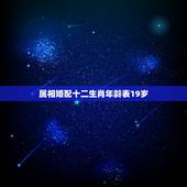 属相婚配十二生肖年龄表19岁，属猪的19和什么年龄的属相相合
