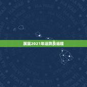 属鼠2021年运势及运程，属鼠双子座2021年运势怎么样