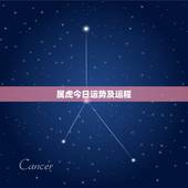 属虎今日运势及运程，属虎今日财运查询