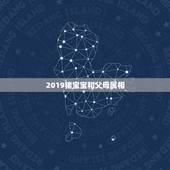 2019猪宝宝和父母属相，2019年的猪宝宝是木命还是土命？
