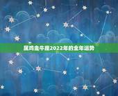 属鸡金牛座2022年的全年运势，属鸡2022年运势完整版