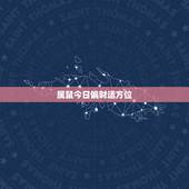 属鼠今日偏财运方位，属鼠人今日打牌财运方位
