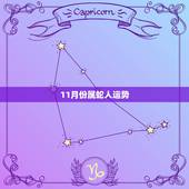 11月份属蛇人运势，属蛇人2022 年下半年运势
