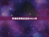 有谁收养刚出生的2022年，福利院有没有刚出生的宝宝可以领养，需要什么
