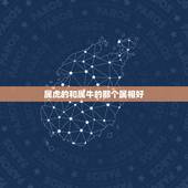 属虎的和属牛的那个属相好，男85属牛，女86属虎，要个什么属相的孩子好