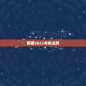 属猪2022年的运势，2021属猪人全年运势