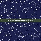 属鸡的生肖婚配和什么生肖最好，女属鸡与什么属相最配合