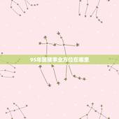 95年属猪事业方位在哪里，属猪在的最吉工作方位