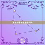 属猪的今年婚姻顺利吗，我属猪！婚姻一直不顺！我该怎么办？