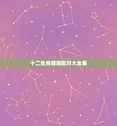 十二生肖婚姻配对大全表，2022 年十二生肖表