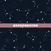 最有灵性的龟排名巴西龟，什么龟最有灵性