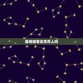 属相相害会克死人吗，属相相克会给对方造成什么后果