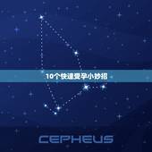 10个快速受孕小妙招，人类如何生育，该怎么做？