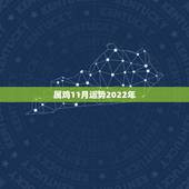 属鸡11月运势2022年，1969年属鸡2021年每月运势