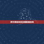 丙午男和辛亥女婚配相合吗，合婚图里男命女命什么意思