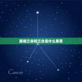 属相三会和三合是什么意思，属狗的人三合属相是哪些生肖