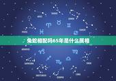 兔蛇相配吗65年是什么属相，1965年属蛇和1975年属兔婚配好不