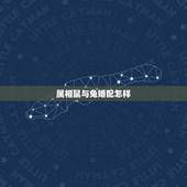 属相鼠与兔婚配怎样，属相鼠和兔相配有哪些问题