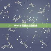 2023年是什么颜色的兔，1997年是什么颜色的牛