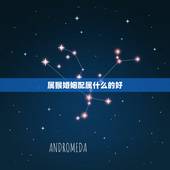 属猴婚姻配属什么的好，1992年属猴2022 年运势