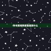 牛年属相狗家里摆放什么，求高人指点属狗人牛年能否配金牛挂件开运