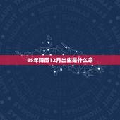 85年阳历12月出生是什么命 85年属牛是什么命