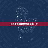 十二生肖最好的生肖是哪一个，十二生肖哪个属相最好