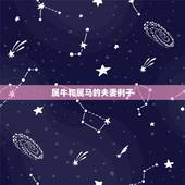 属牛和属马的夫妻例子，牛马属相合不合