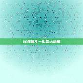 85年属牛一生三大劫难 2022属牛要小心一个人