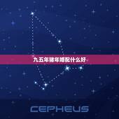 九五年猪年婚配什么好，95年属猪男的和什么属相最配