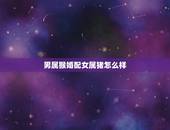 男属猴婚配女属猪怎么样，属相婚配女属猪的和男属猴的会在一起吗？