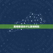 属相猪适合什么属相婚配，属猪配什么属相最合适