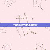 1999年和1995年相配吗，95女99男结婚好不好