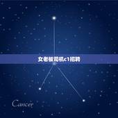女老板司机c1招聘，找工作司机c1帮女老板