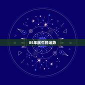 85年属牛的运势，1985属牛今年运势