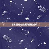 老公属兔老婆属龙属相合吗，属相婚配：男属兔和女属龙相配吗