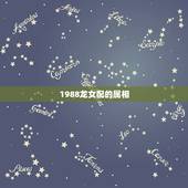 1988龙女配的属相，1988年女龙狮子座和什么生肖最配