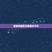 男属狗婚配女属猪好不好，属狗男和属猪女相配吗