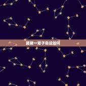 属猪一辈子命运如何，属猪哪天出生命最苦