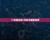 11月猪女和1月的马婚配如何，婚配|马和猪能婚配吗