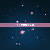 十二生肖六月运势，十二生肖今日运势查询