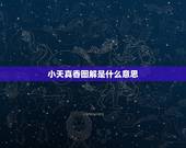 小天真香图解是什么意思，焚香中的“小天真”是何解