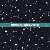 属虎宝宝跟什么属相父母不和，父母属虎，最好要个什么属相的宝贝