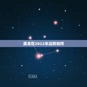 属龙在2022年运势如何，2022属龙的运势和财运1976年
