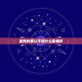 属鸡的要认干妈什么属相好，属鸡的女人认什么属相当干妈最好